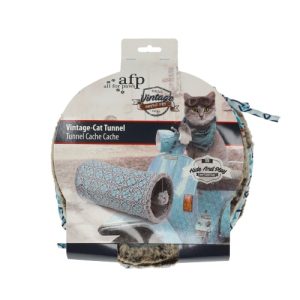 AFP מנהרת וינטאג' אפורה לחתול