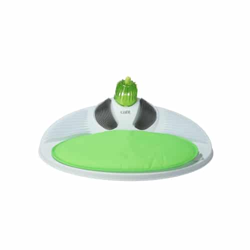 קט איט - משחק חושים 2.0 מרכז בריאות לחתול