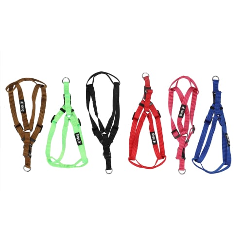 רתמת ניילון לכלבים