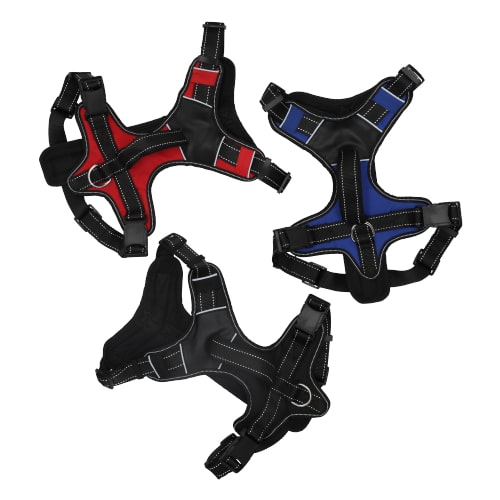 רתמת ספורט ניילון לכלבים