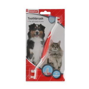 ביהפר מברשת שיניים לכלב ולחתול