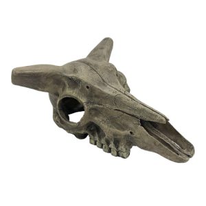 מולטי קומודו דקורציה לזוחלים גולגולת צבי