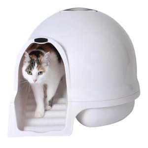 שירותים לחתול איגלו של חברת פטמייט דגם דומה