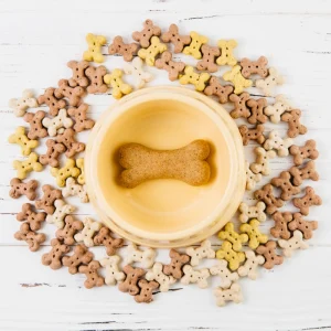 אוכל לכלבים – המדריך המלא לבחירת המזון הטוב ביותר