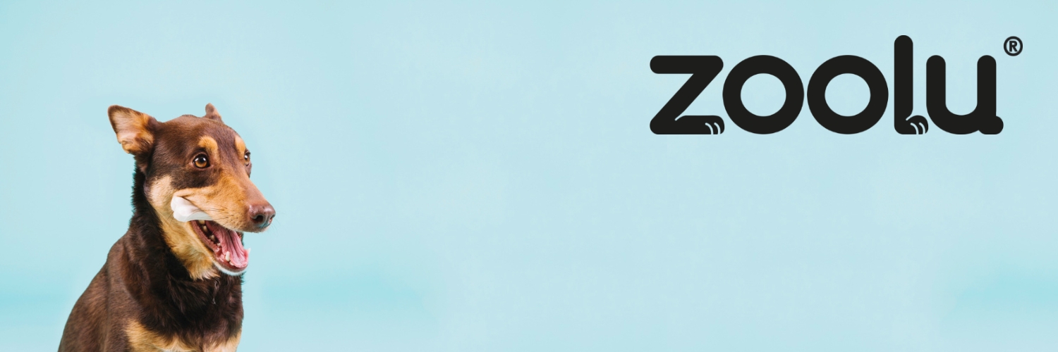 חטיפים טבעיים לכלבים זולו