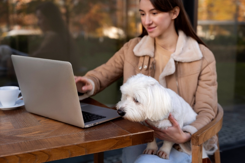 חנות חיות אונליין – המדריך לקנייה בטוחה ומשתלמת