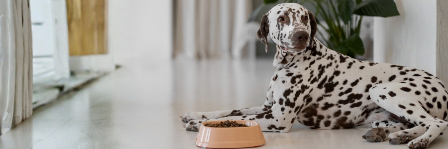 כלי אוכל לכבלים זולו