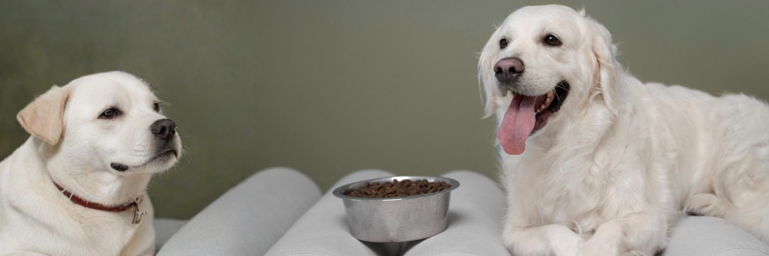 מונג' אוכל לכלבים