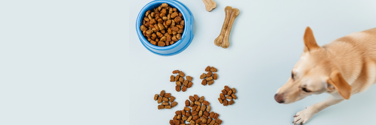 מזון יבש לכלבים זולו