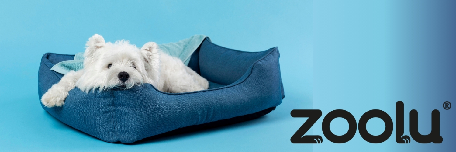 מיטה אורטופדית זולו לכלב
