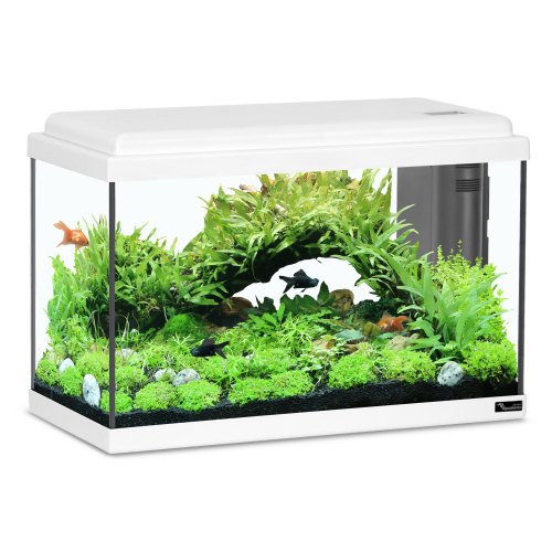 אטלנטיס אקווריום ביו 50 לד 35*25*50 לבן