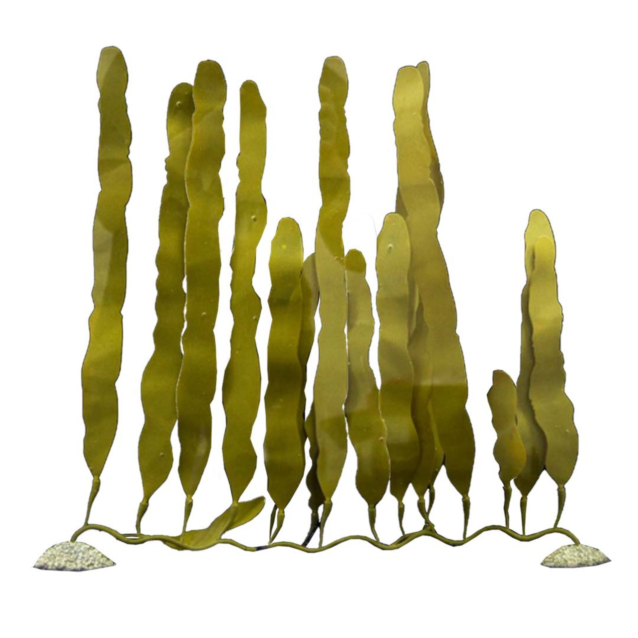 דקורציה צמח סיליקון קולרפה ירוק