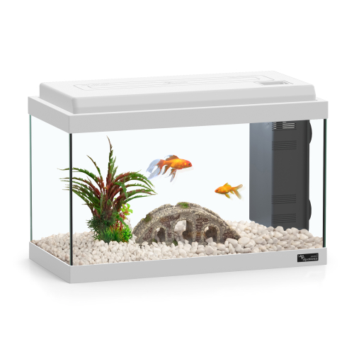 אקוואטלנטיס - אקווריום ביו לד 40