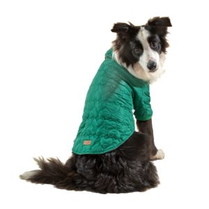 IMG 20251208 WA0062 (002)