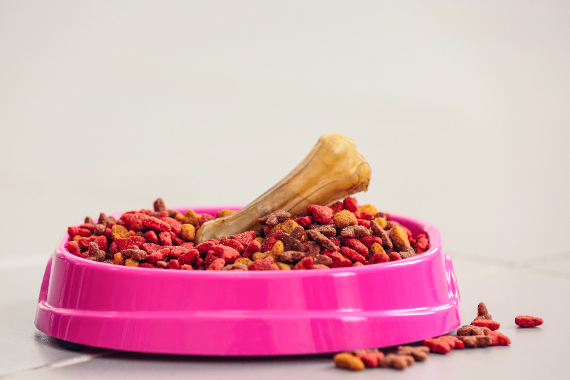 מיכל אחסון מזון לכלבים – למה זה חשוב ואיך לבחור נכון