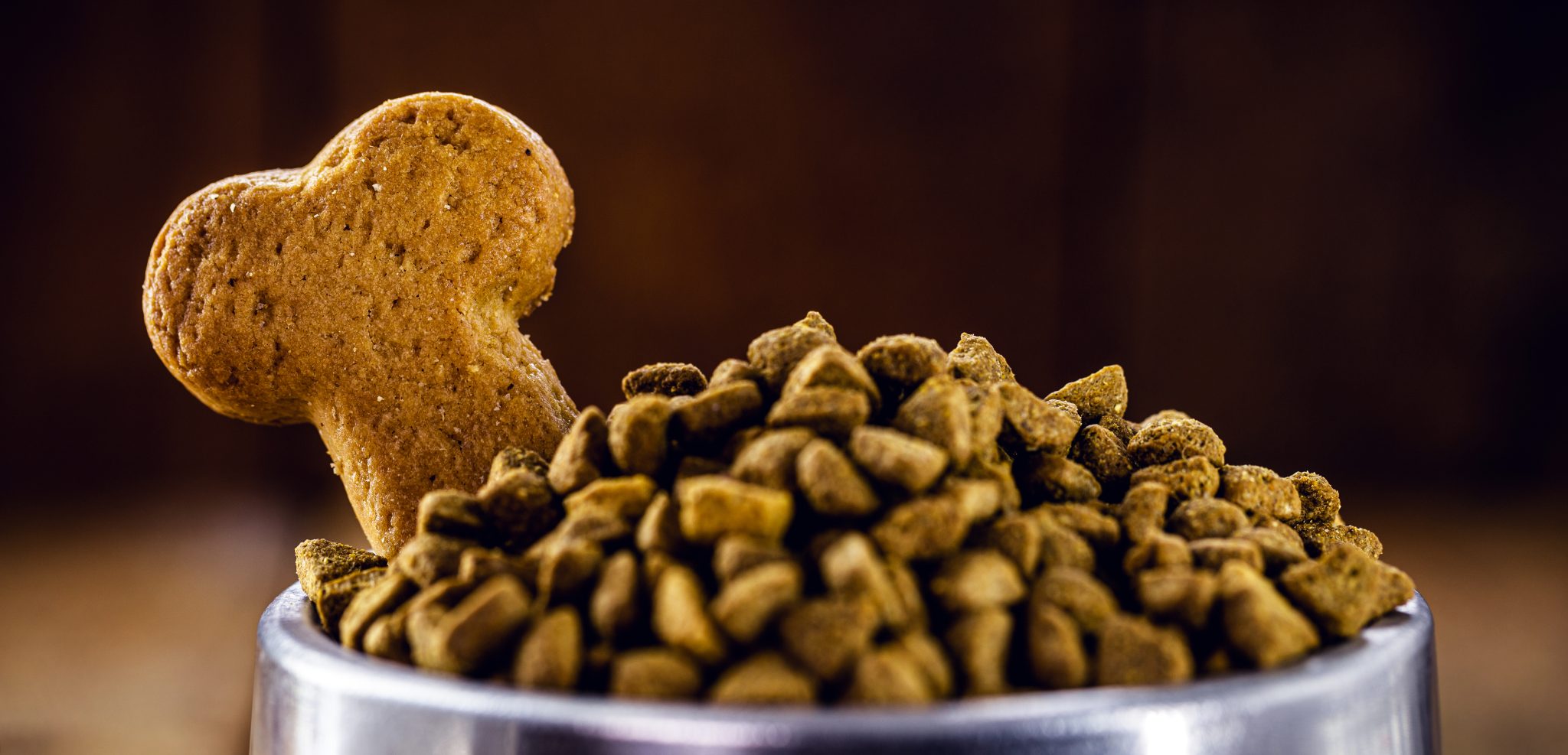 שקים 20 קילו לכלבים – יתרונות, מחירים וטיפים