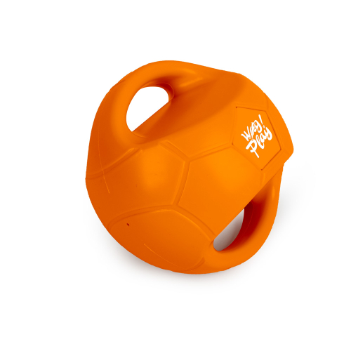 צעצוע טאג BALL לכלב