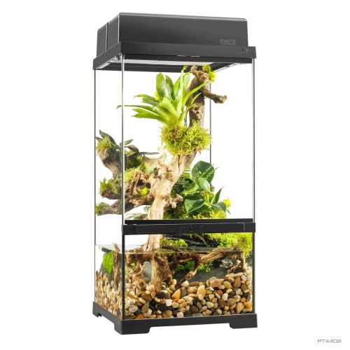 אקזוטרה פאלודריום פרו גבוה 60*30*30 ס"מ