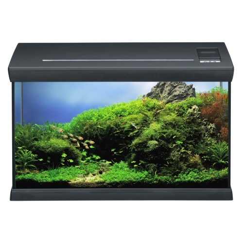 אהיים אקווריום אקווסטאר 54L, 30*30*60, סט שחור