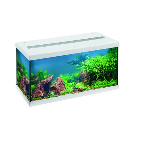 אהיים אקווריום אקווסטאר 54L, 30*30*60, סט לבן