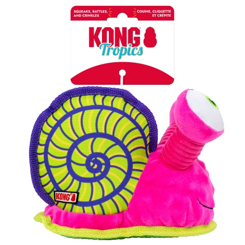 קונג חילזון טרופית בינוני/גדול